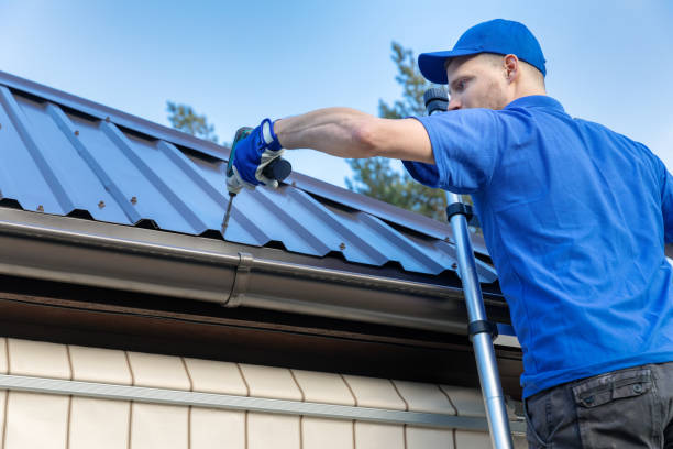 Best Skylights  in Harrington, DE