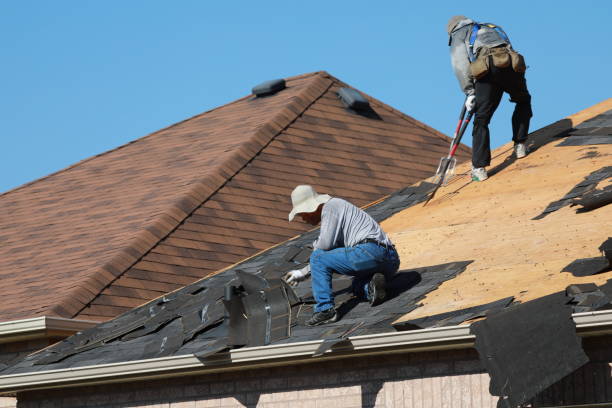 Best Metal Roofing Installation  in Harrington, DE