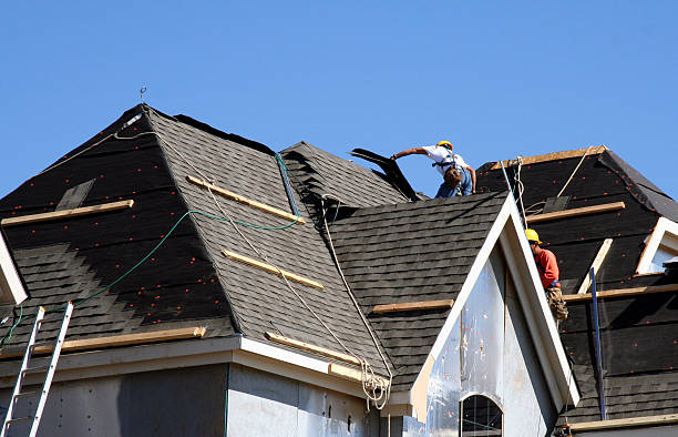 Best Roof Leak Repair  in Harrington, DE